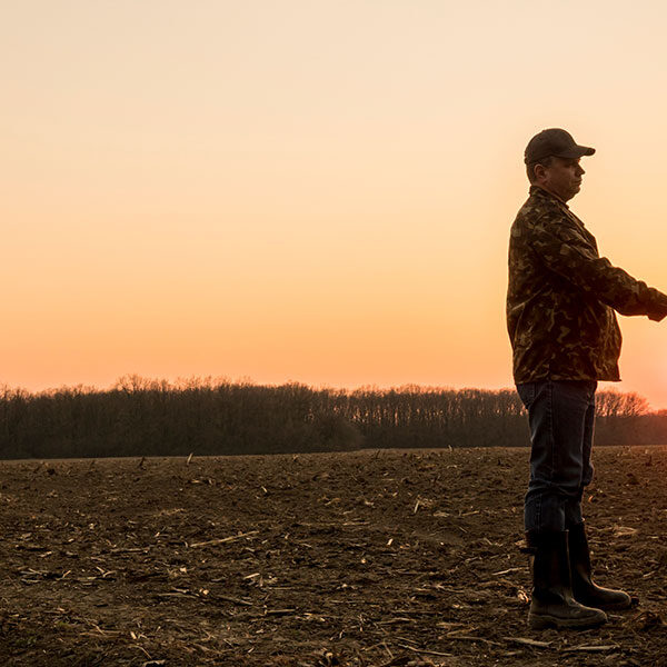 Όλα έτοιμα από τον ΟΠΕΚΕΠΕ για να γίνει, την Παρασκευή (20/12), η πληρωμή εκκαθάριση 30% της βασικής ενίσχυσης για το 2024 µαζί µε την αναδιανεµητική και την ειδική ενίσχυση των γεωργών νεαρής ηλικίας.