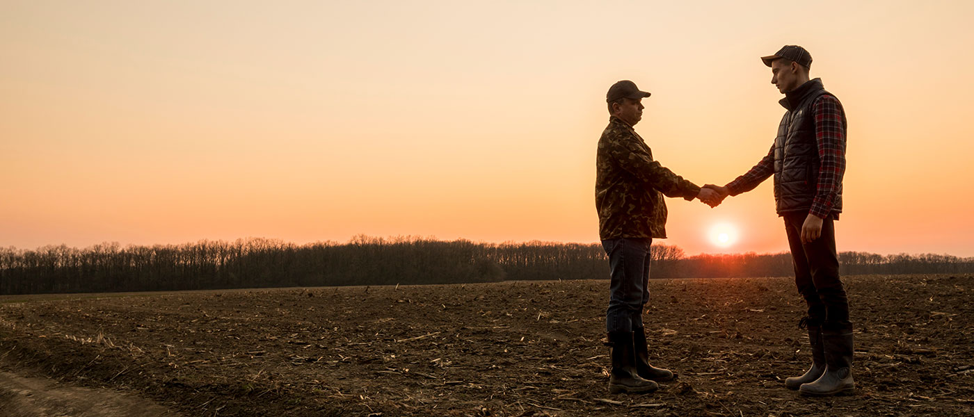 Read more about the article Όλα έτοιμα από τον ΟΠΕΚΕΠΕ για να γίνει, την Παρασκευή (20/12), η πληρωμή εκκαθάριση 30% της βασικής ενίσχυσης για το 2024 µαζί µε την αναδιανεµητική και την ειδική ενίσχυση των γεωργών νεαρής ηλικίας.